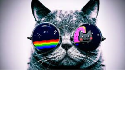 The Cat People Hangout