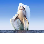 THE Sharkz pals