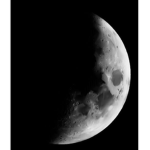 moonlights.3XL