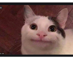 pet simulator X fans!