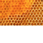 HoneySweat Hotel