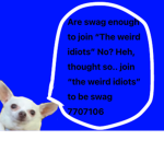 The Weird Idiotss