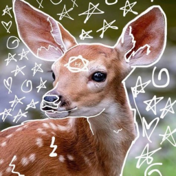 ℂ𝔸ℕ'𝕋