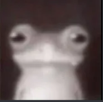 The cooler accursed six