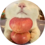 apple cat donation big Roblox gamepass thumbnail