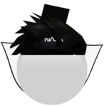 NASABLOXXER’S GROUP