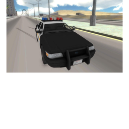 BE A POLICE MAN COP!