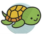 SIDS turtle