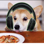 Il team Gamer