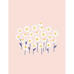 Pink blossums