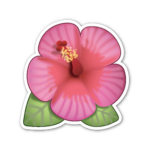 ~hibiscus clothing~