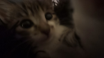 .Ky.