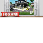 Brookhaven friends club