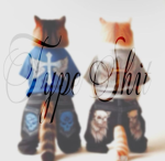 The Bloxxers!!!!