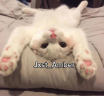 Team Amber_gaming :)