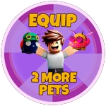Equip 2 more pets