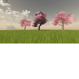 calm and hangout place