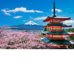 Le groupe des geeks fan du japon