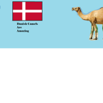 The Danish camels