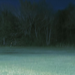 The Dark Forest (Horror)