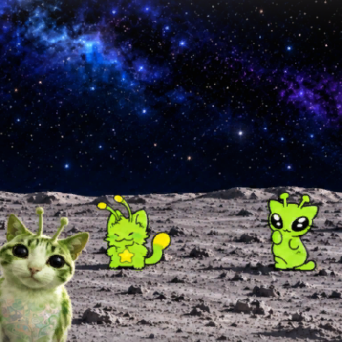 Alien Cat Meme Space Moon Glorp Background