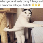 Funnymemes1000