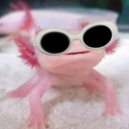 🩷