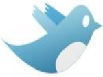 Official-Twitter-Group
