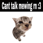 Mew :3 (can’t talk mewing rn)