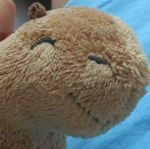 Capybara's team...