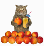 Little baby peaches