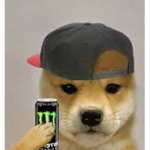 Noobs are so excited