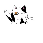 Cat..Cats.... :3 join the group!:D