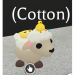 cotton cat cool