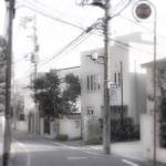 ‿‿ /tokkio