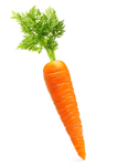 Carrot group!