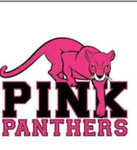 Pink panther gymnastics academy