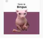 bingus-toes