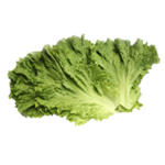 Burger King Foot Lettuce