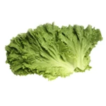 Burger King Foot Lettuce