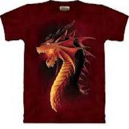 Dragon Shirt Roblox decal