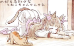 puppies n kittens