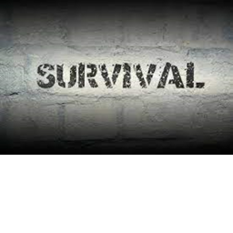 Survival The Night