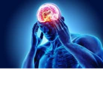 BBC (Big Brain Corporation)