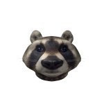 Realistic Raccoon Head