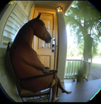 i need therapy studios