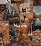 ~!~ acorn ~!~