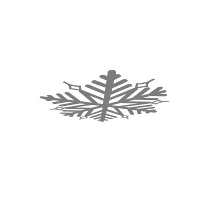 Snow Flake