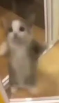 ZTrapped