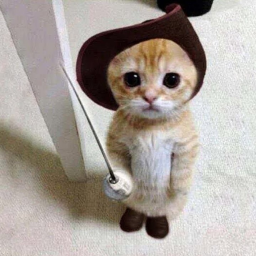 Raise A Cat